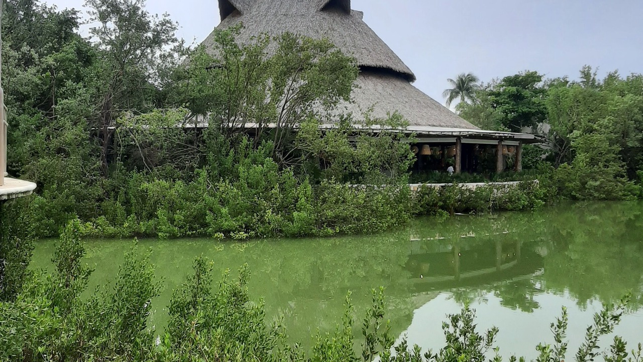 Photo of Outdoor in Villa Juarez