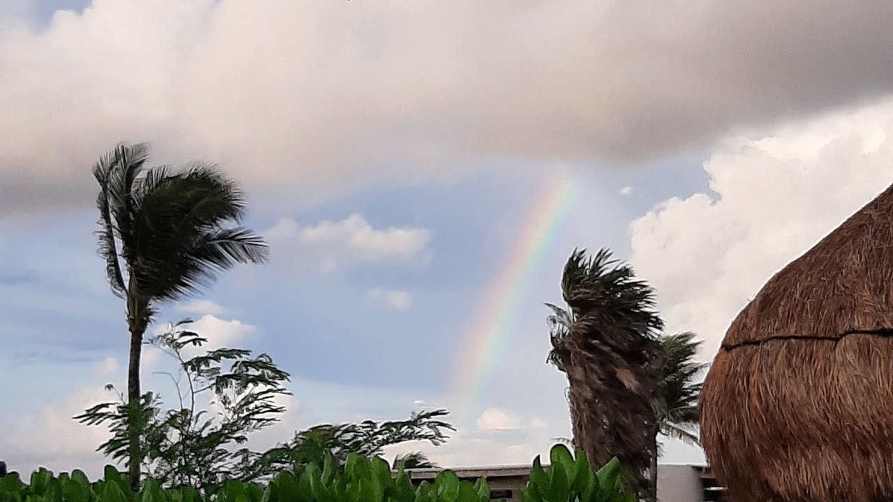 Photo of Outdoor in Villa Juarez