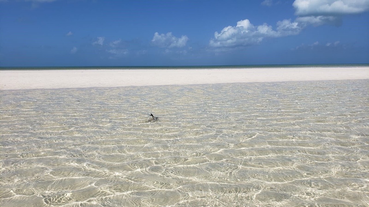 Photo of Outdoor in Isla Holbox