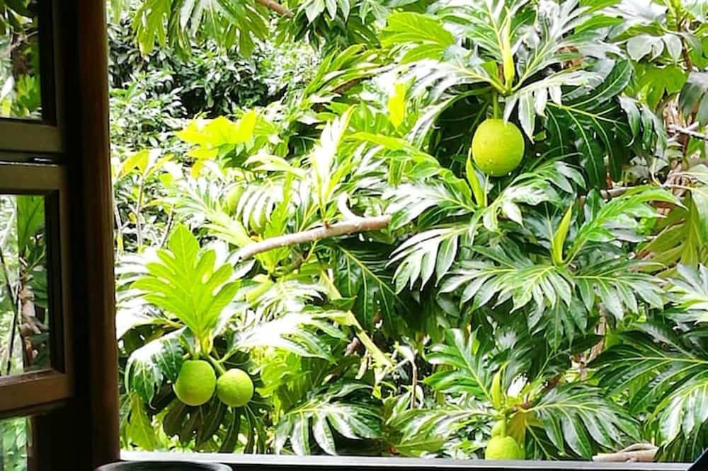 Photo of Outdoor in Anse la Blague