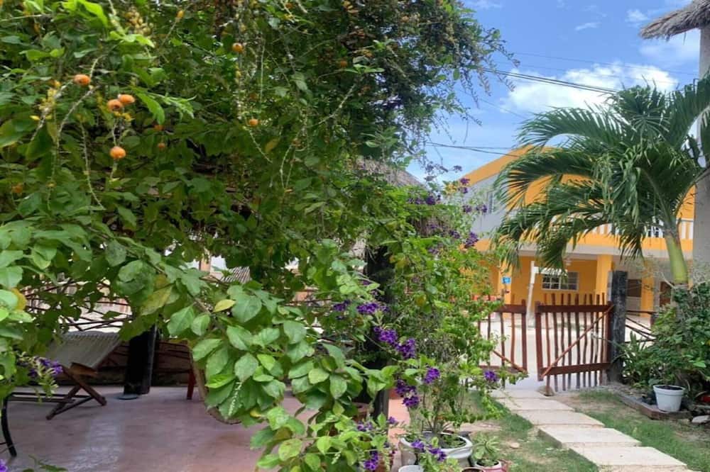 Photo of Outdoor in Downtown Holbox