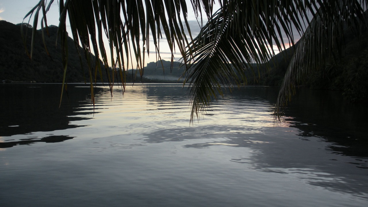 Photo of Others in Teahupoo