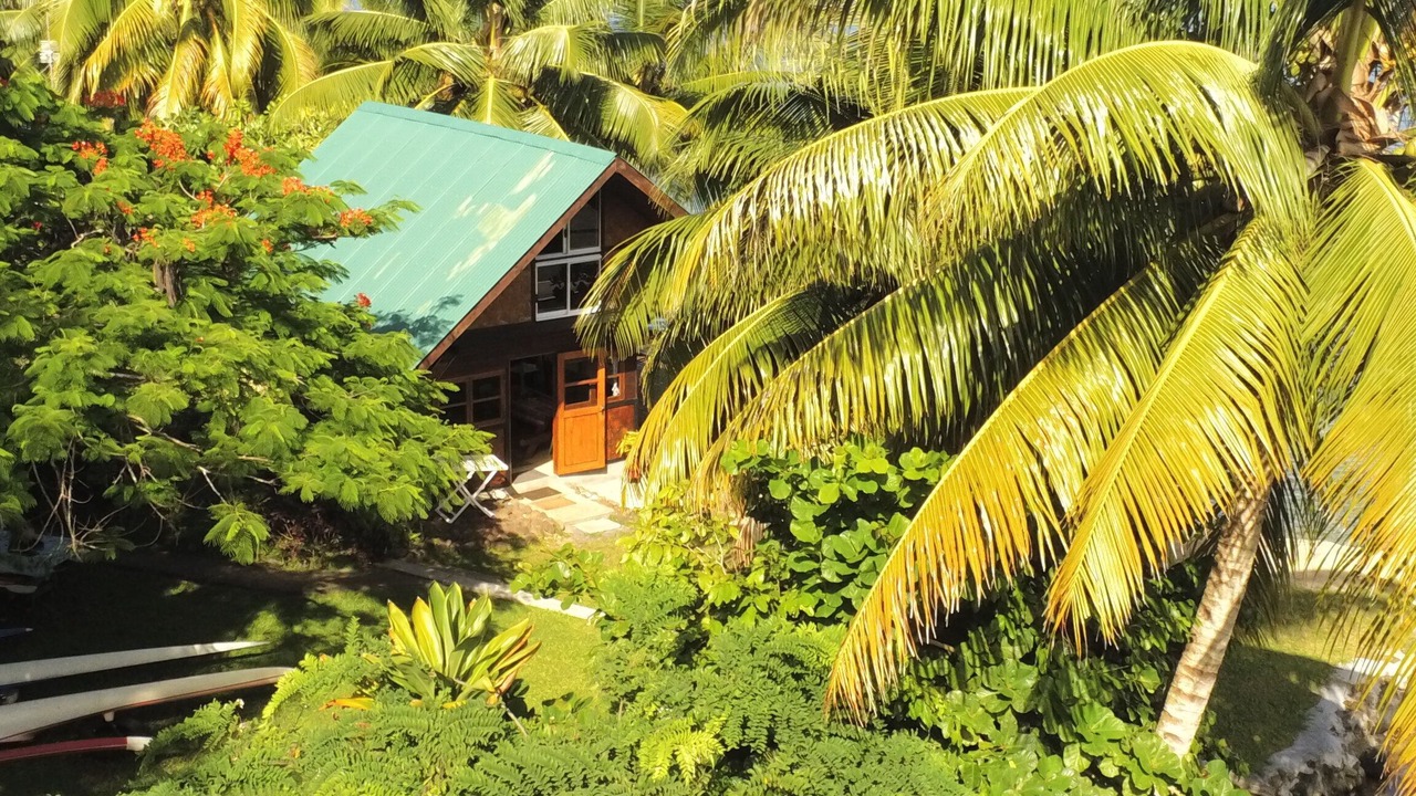 Photo of Outdoor in Teahupoo
