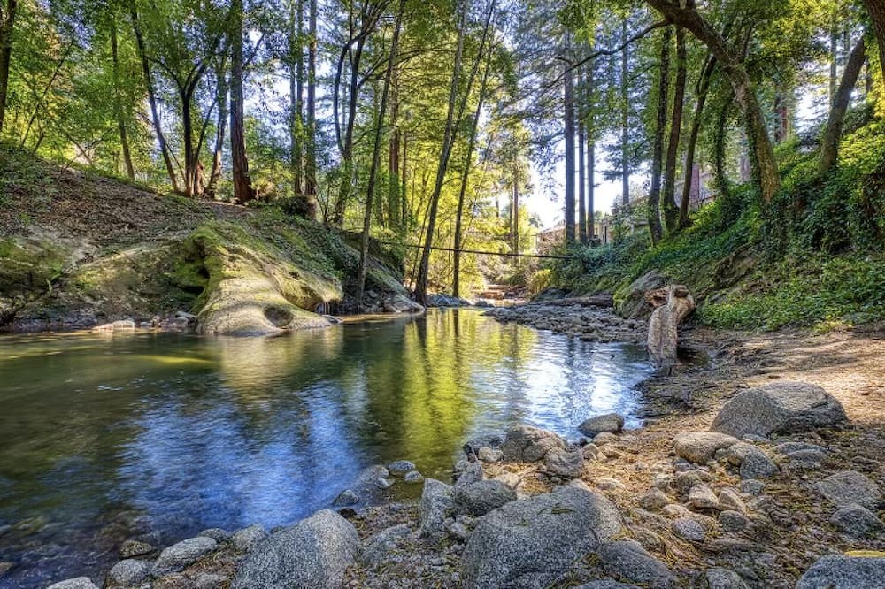 Photo of Outdoor in Boulder Creek