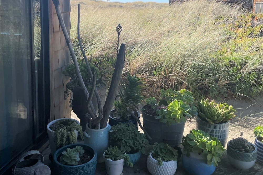 Photo of Others in Pajaro Dunes