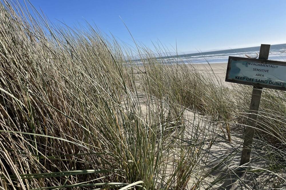 Photo of Others in Pajaro Dunes