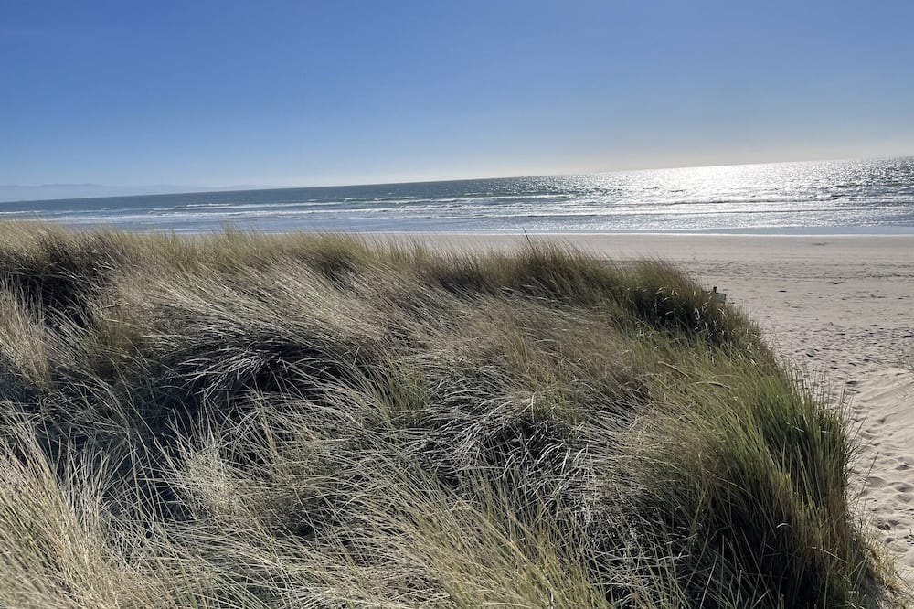 Photo of Others in Pajaro Dunes