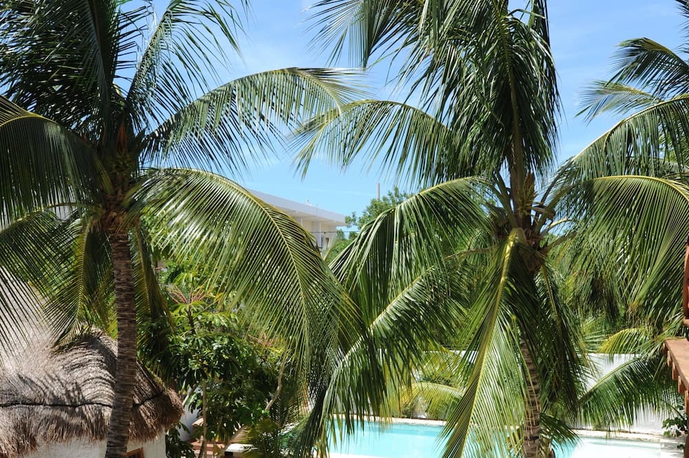 Photo of Outdoor in Downtown Holbox