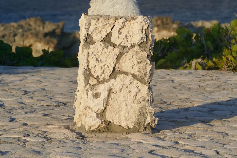 Photo of Others in Conch Bar