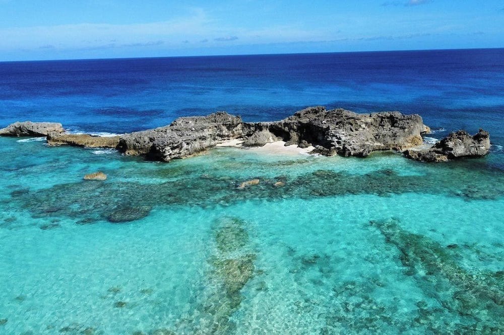 Photo of Others in Conch Bar