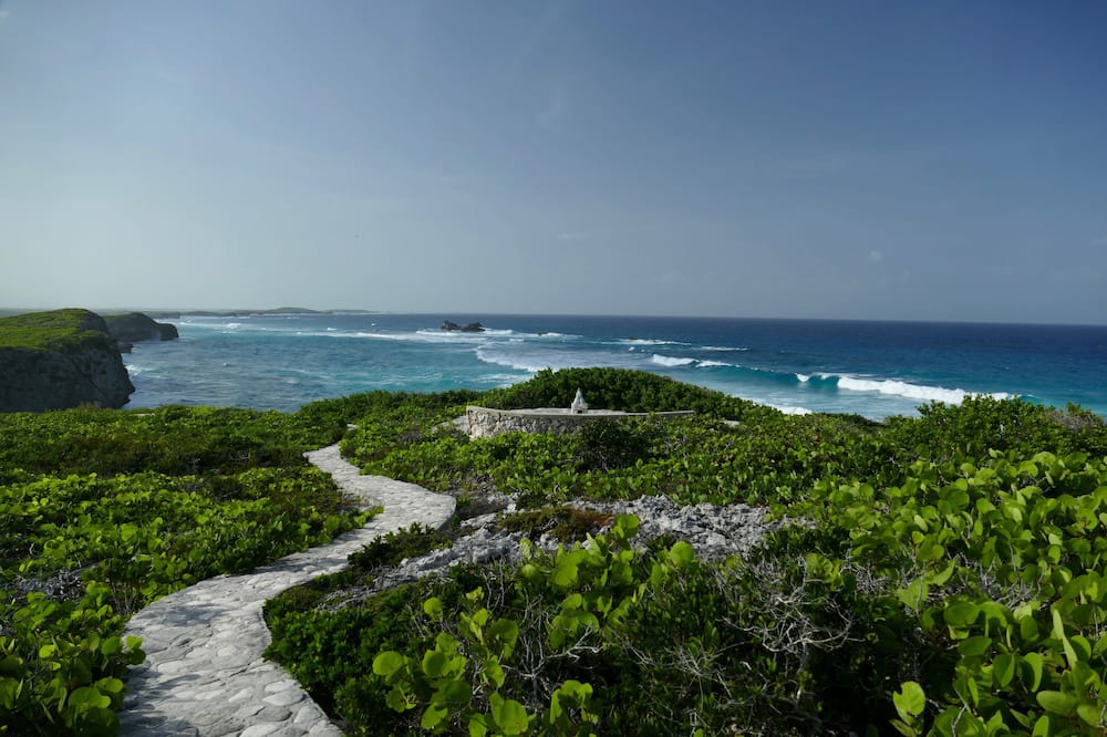 Photo of Others in Conch Bar