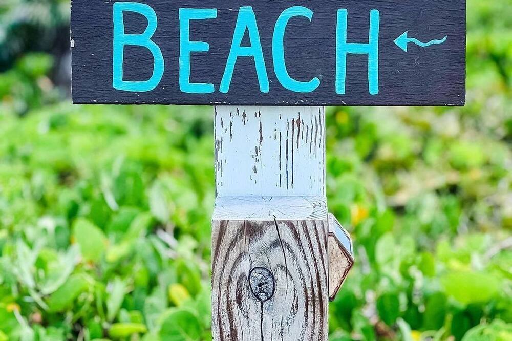 Photo of Others in Conch Bar