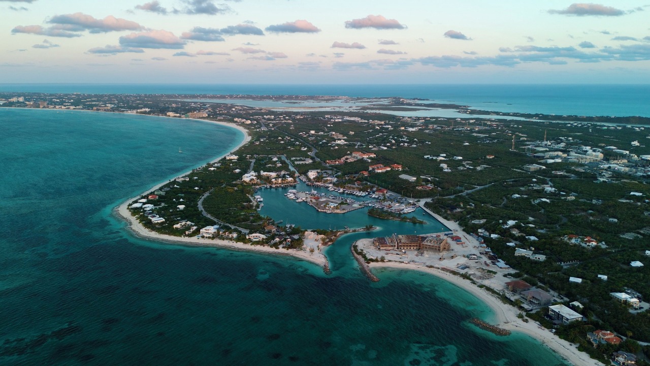 Photo of Others in The Bight