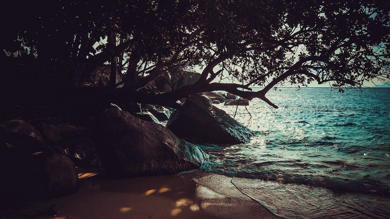 Photo of Others in Anse La Mouche