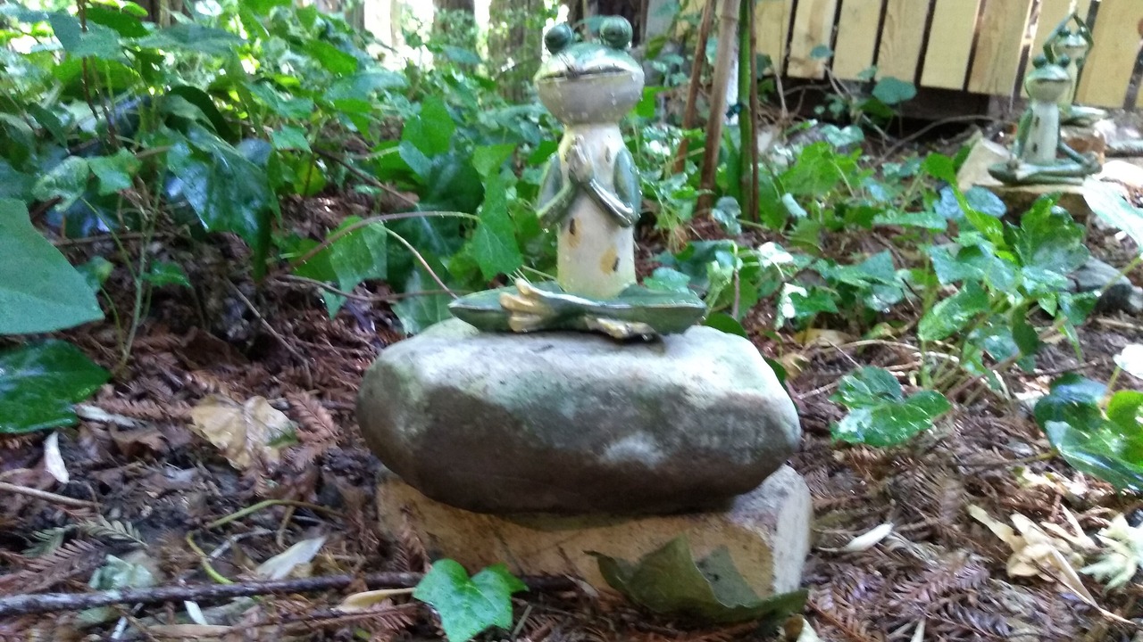 Photo of Outdoor in Felton