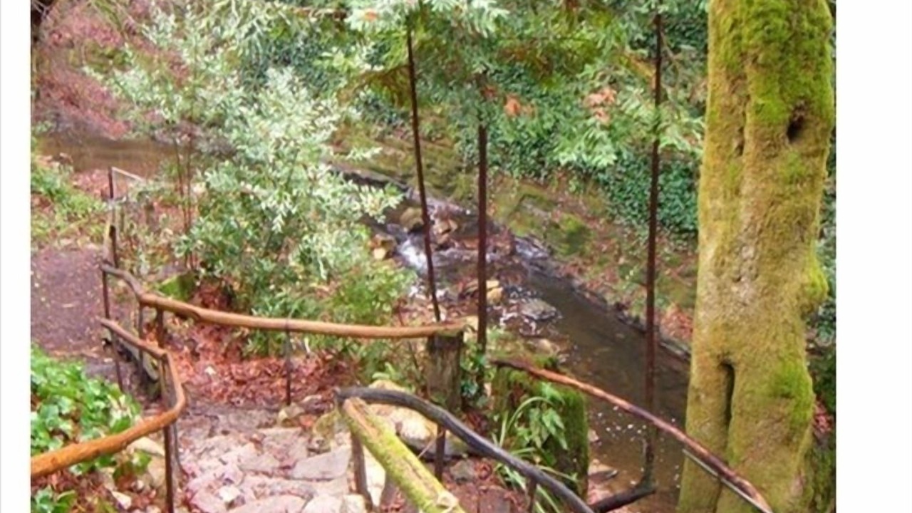 Photo of Outdoor in Felton