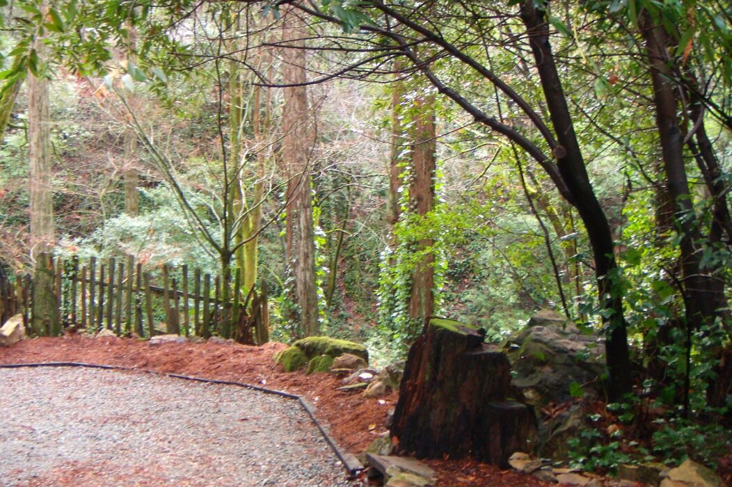 Photo of Outdoor in Felton