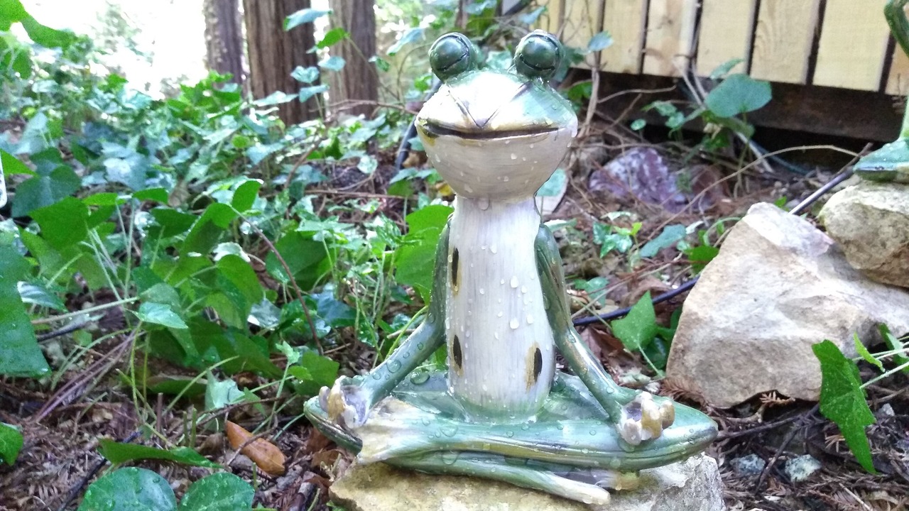 Photo of Outdoor in Felton