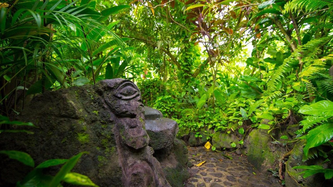 Photo of Outdoor in Nunue