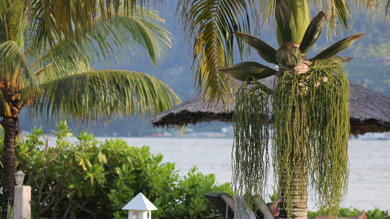 Photo of Outdoor in Cerf Island
