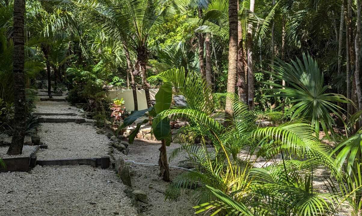Photo of Outdoor in Buenavista