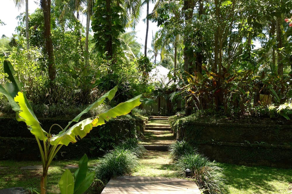 Photo of Outdoor in Mas