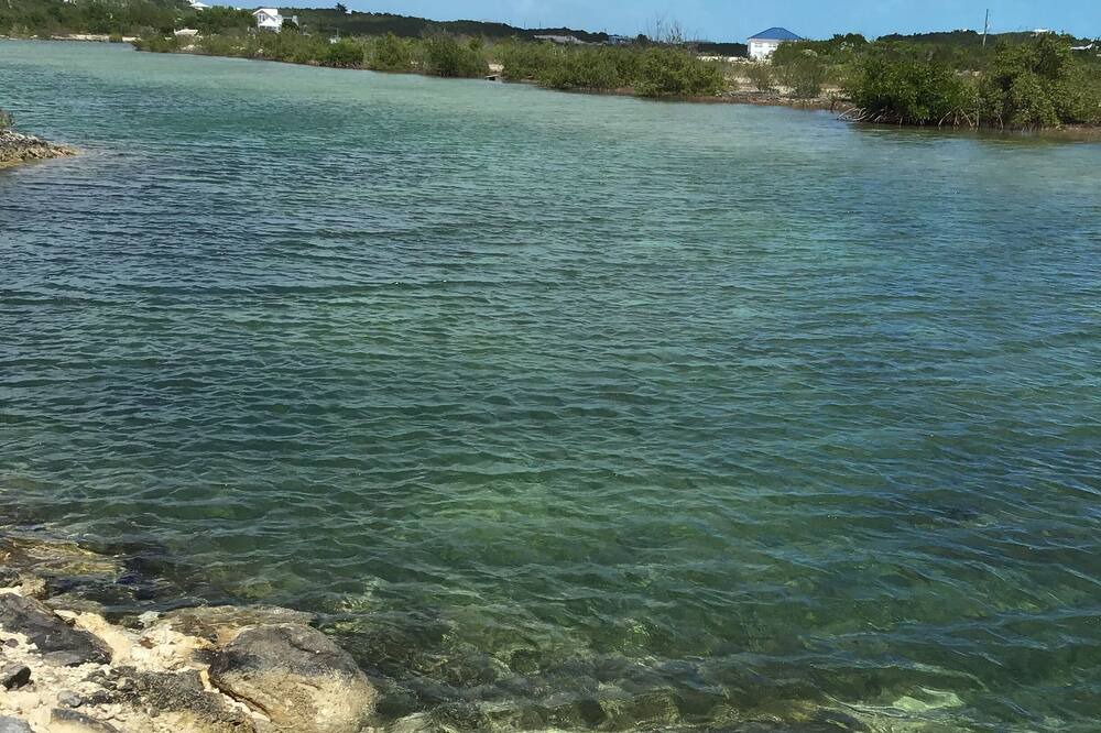 Photo of Others in Discovery Bay