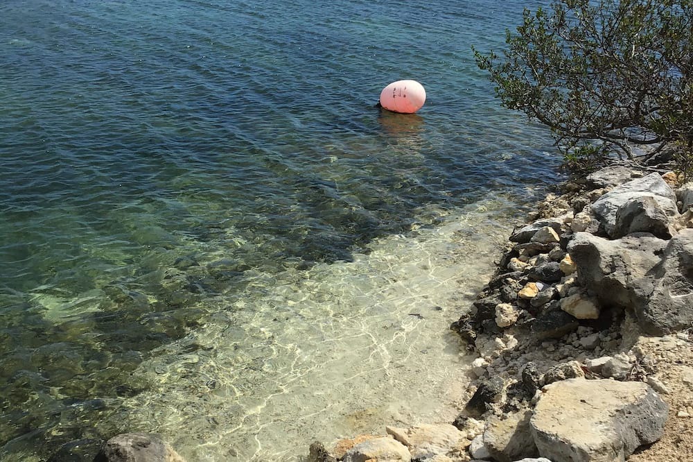 Photo of Others in Discovery Bay