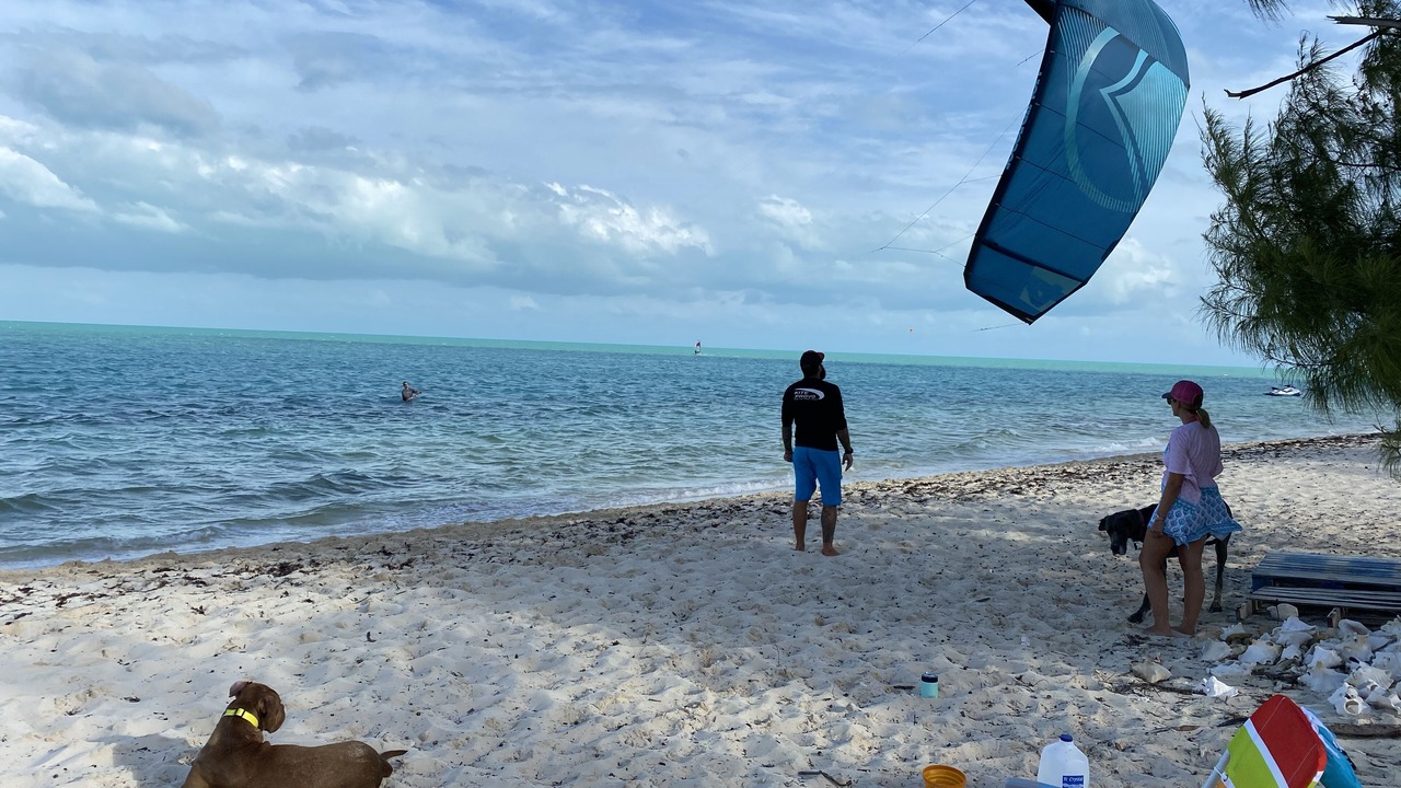 Photo of Others in The Bight