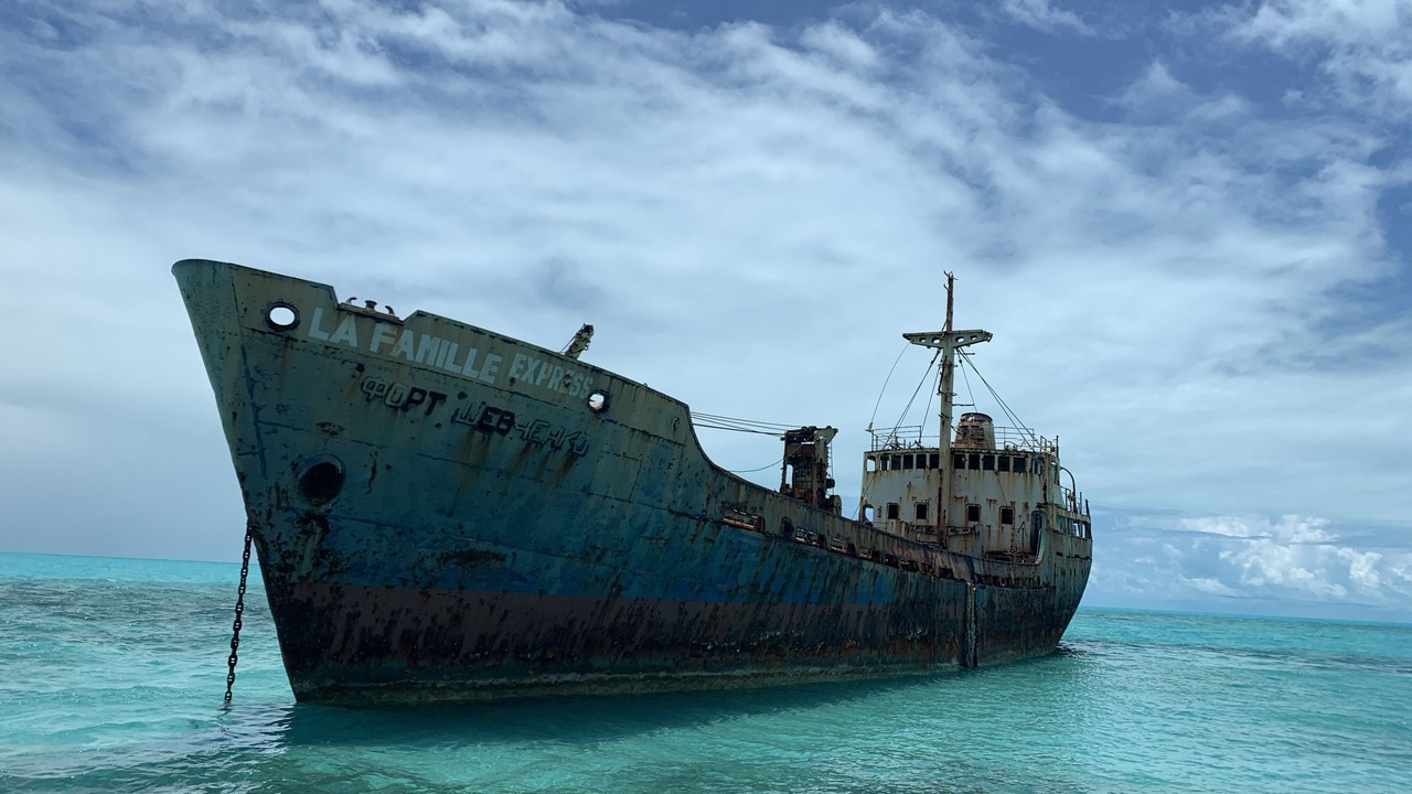 Photo of Others in The Bight