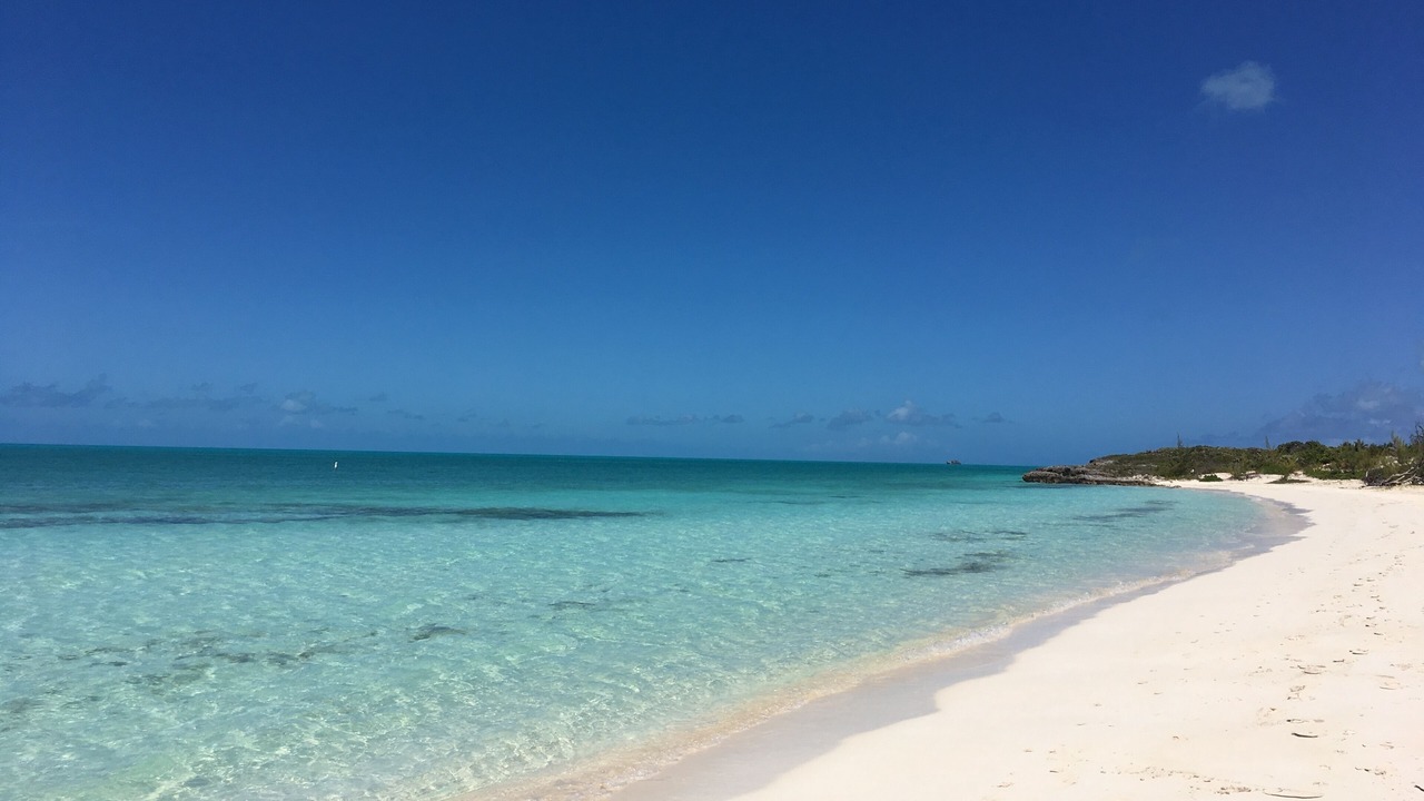 Photo of Others in The Bight