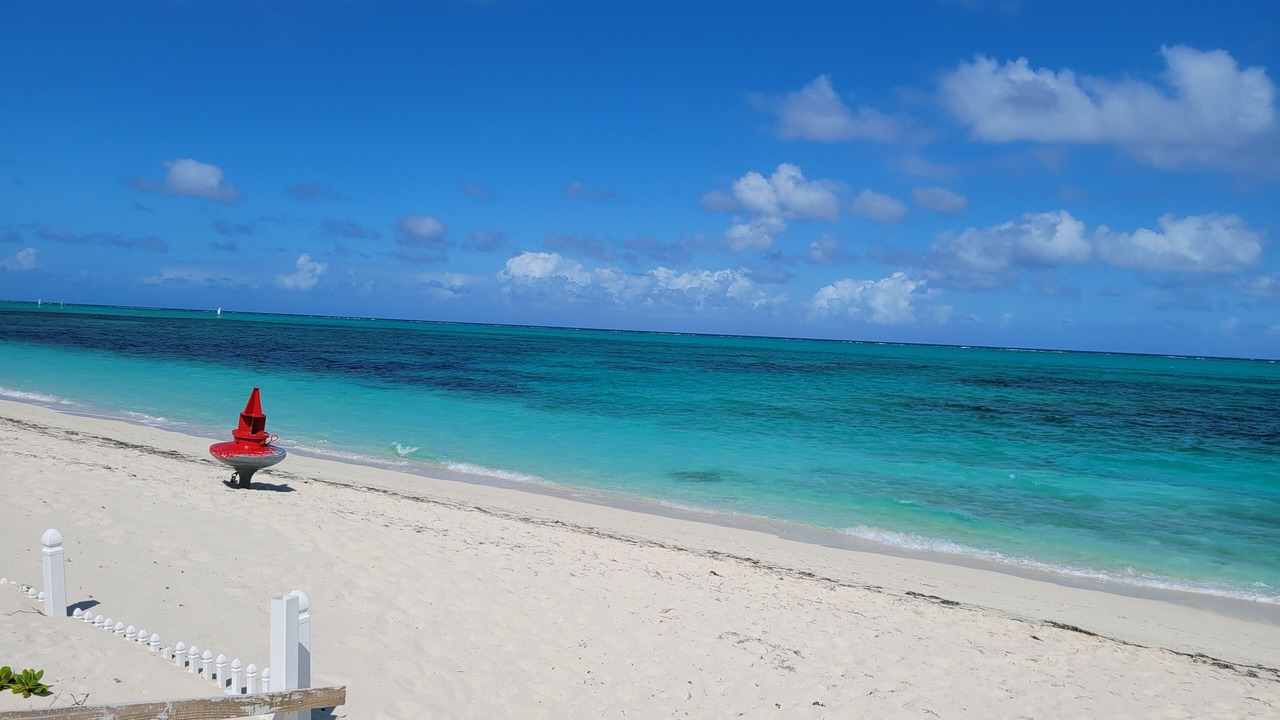 Photo of Others in The Bight