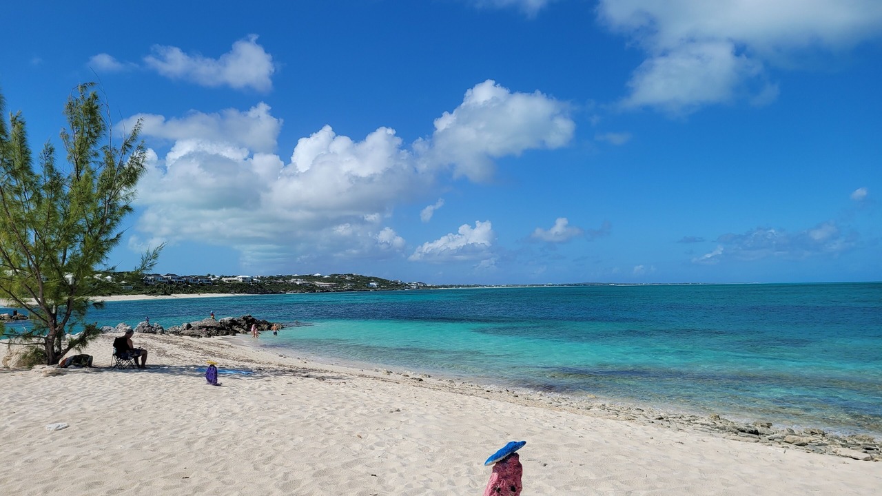Photo of Others in The Bight