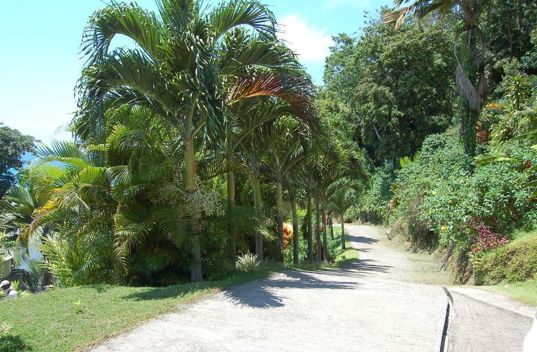 Photo of Outdoor in Anse La Mouche