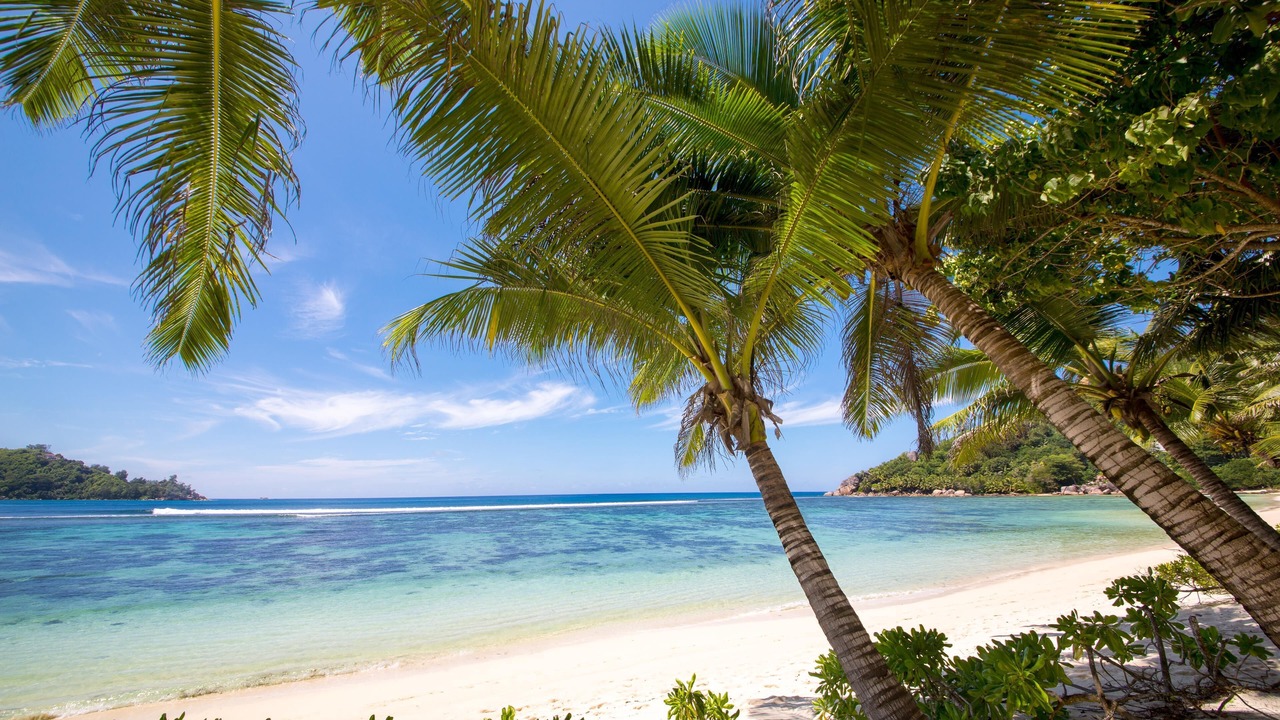 Photo of Others in Mahe Island
