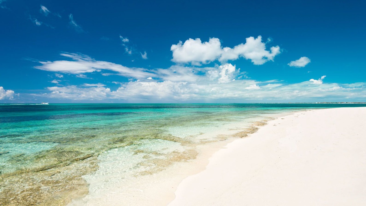 Photo of Others in The Bight