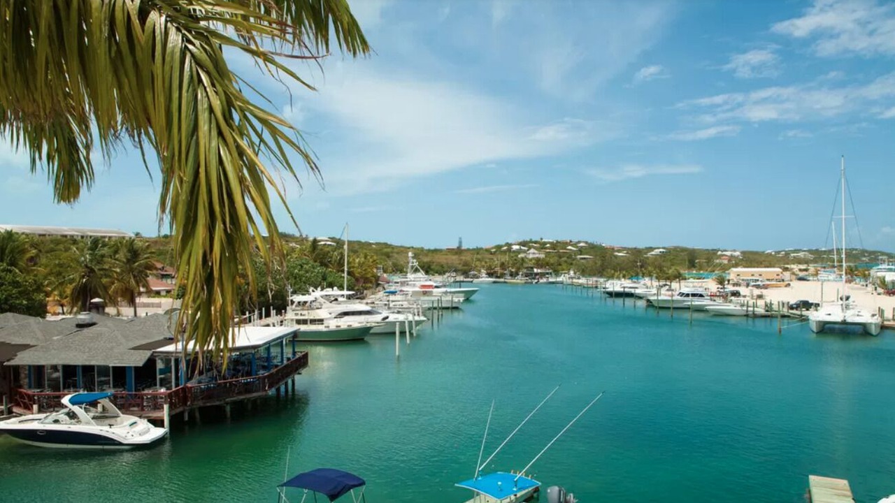 Photo of Others in The Bight