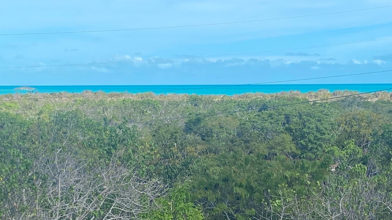 Photo of Others in Providenciales