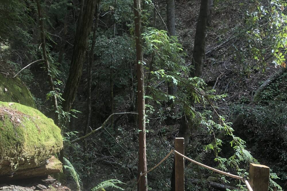 Photo of Outdoor in Boulder Creek