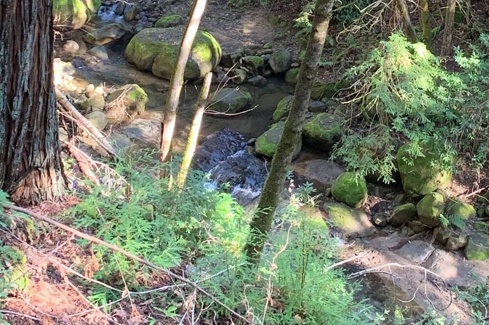 Photo of Outdoor in Boulder Creek