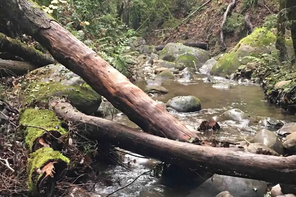 Photo of Outdoor in Boulder Creek