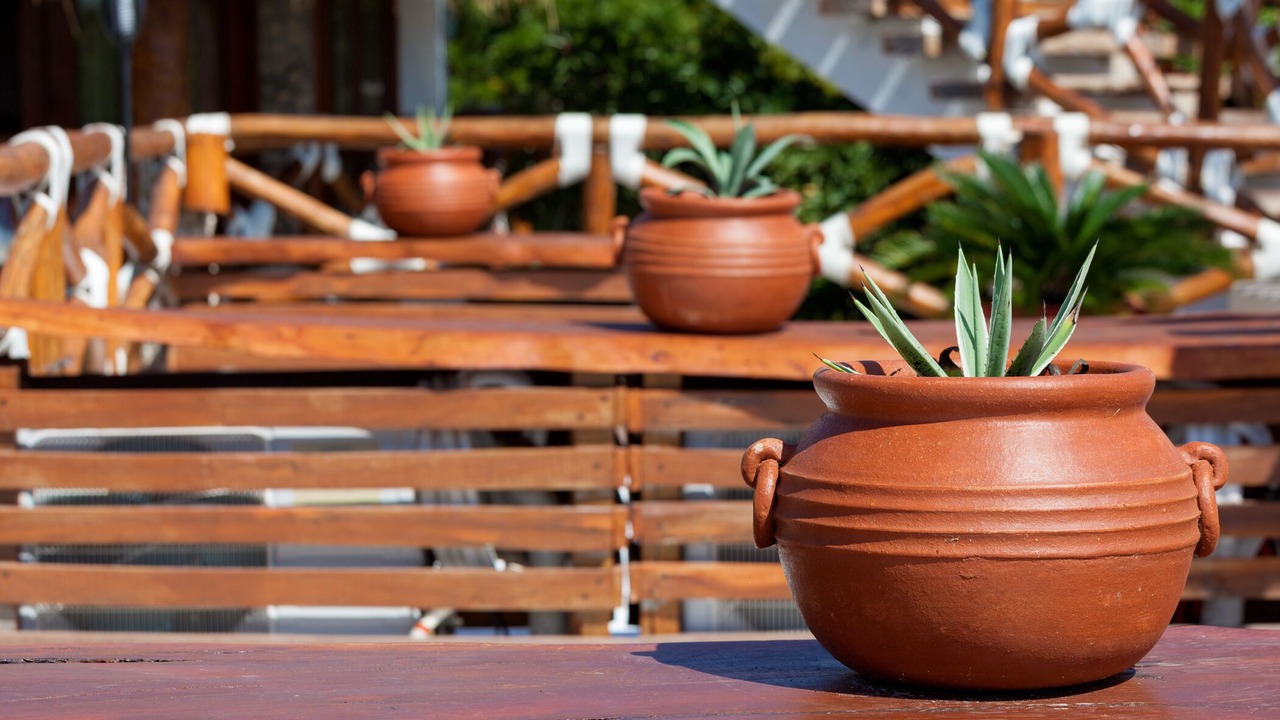 Photo of Outdoor in Downtown Holbox