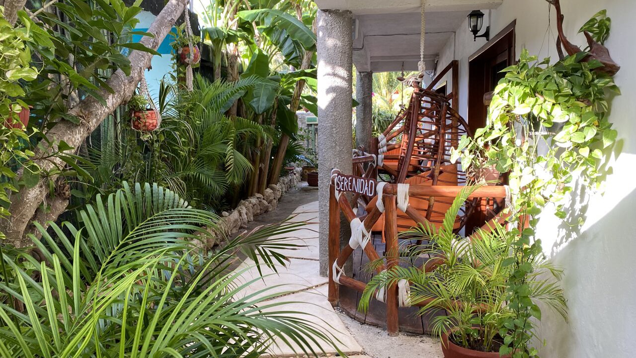 Photo of Outdoor in Downtown Holbox