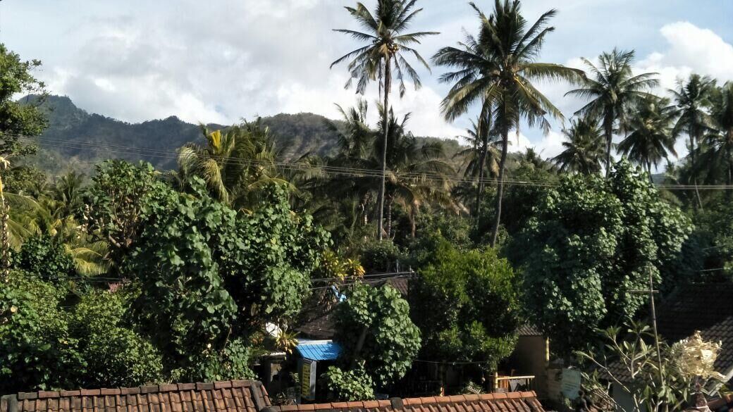 Photo of Outdoor in Purwakerti