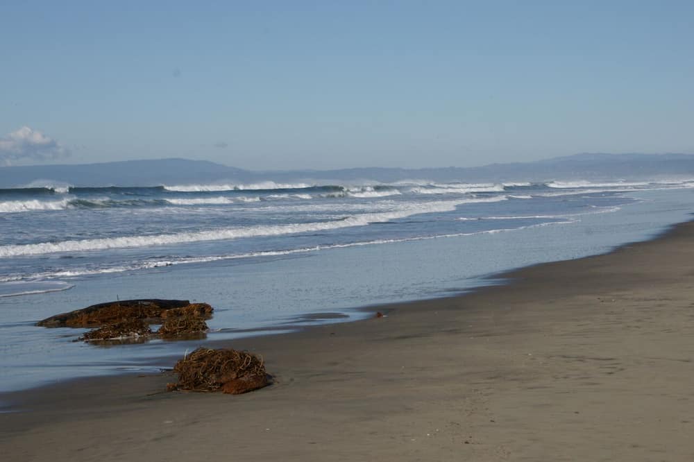 Photo of Others in Watsonville
