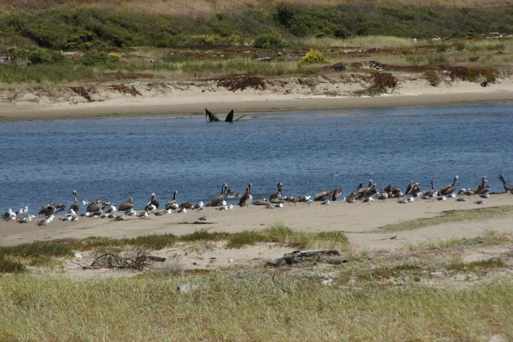 Photo of Others in Watsonville