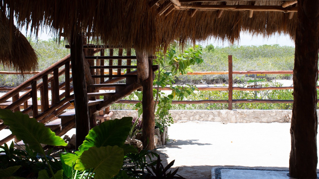 Photo of Outdoor in Isla Holbox