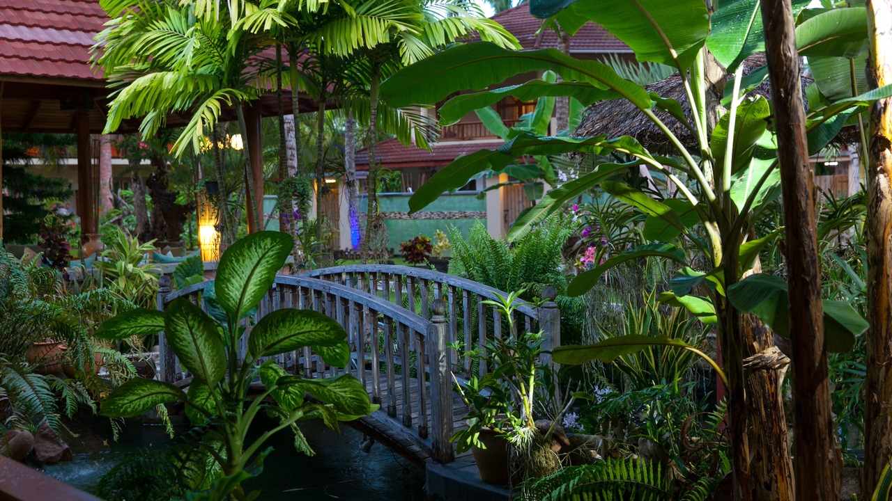 Photo of Outdoor in Praslin Island