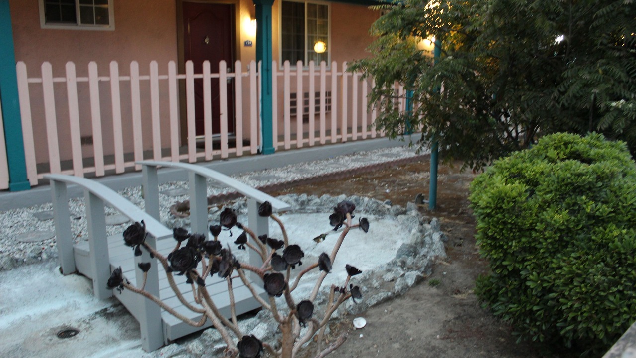 Photo of Outdoor in Westside Santa Cruz