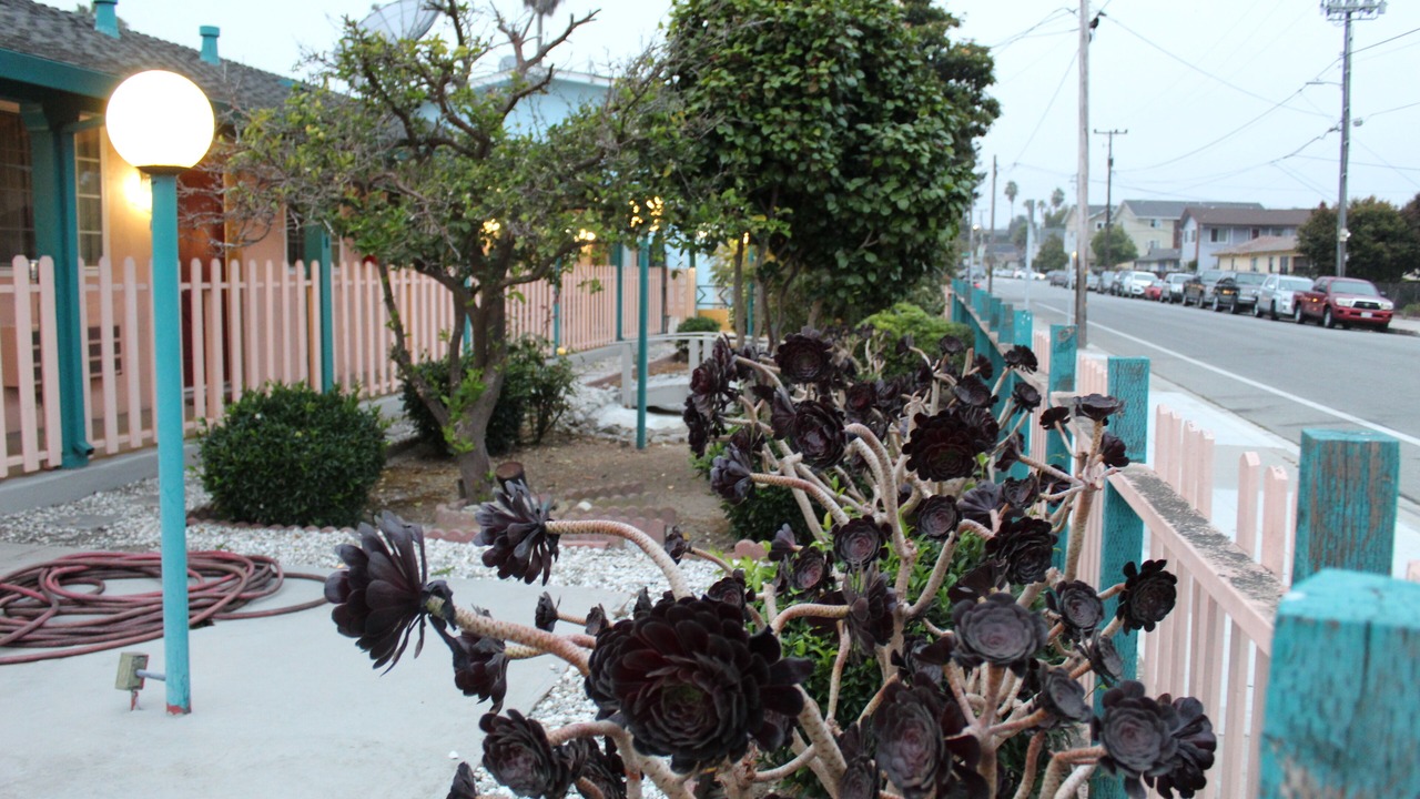 Photo of Outdoor in Westside Santa Cruz